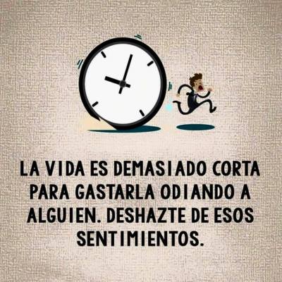 1929039_150256128679524_3673337904041283432_n